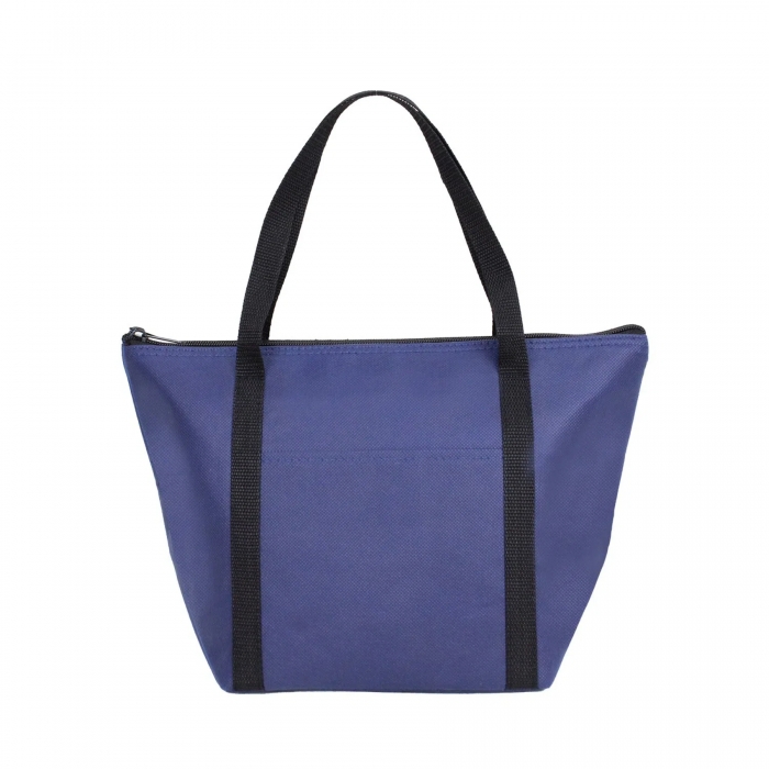 Insulated Hot/Cold Cooler Bag