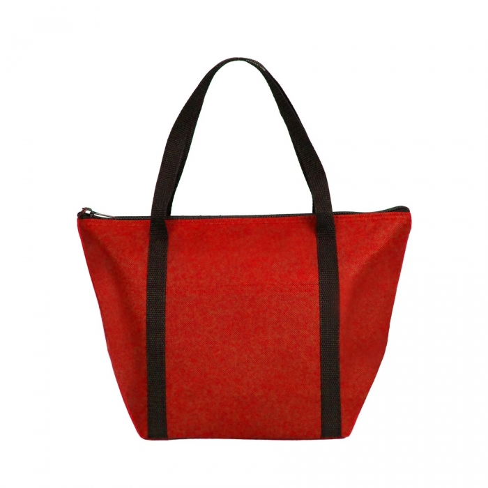 Insulated Hot/Cold Cooler Bag