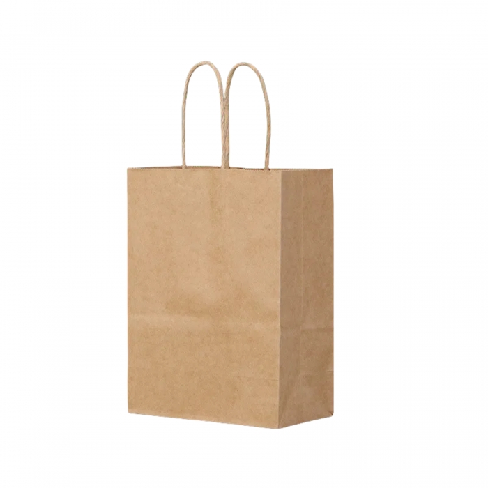 Kraft Paper Gift Bag /Shopping Bag